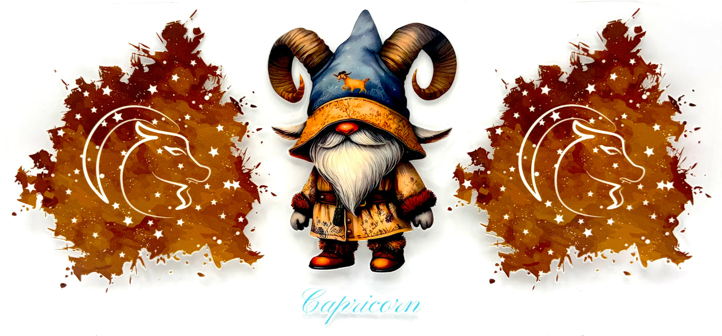 #0533 Capricorn- Gnome