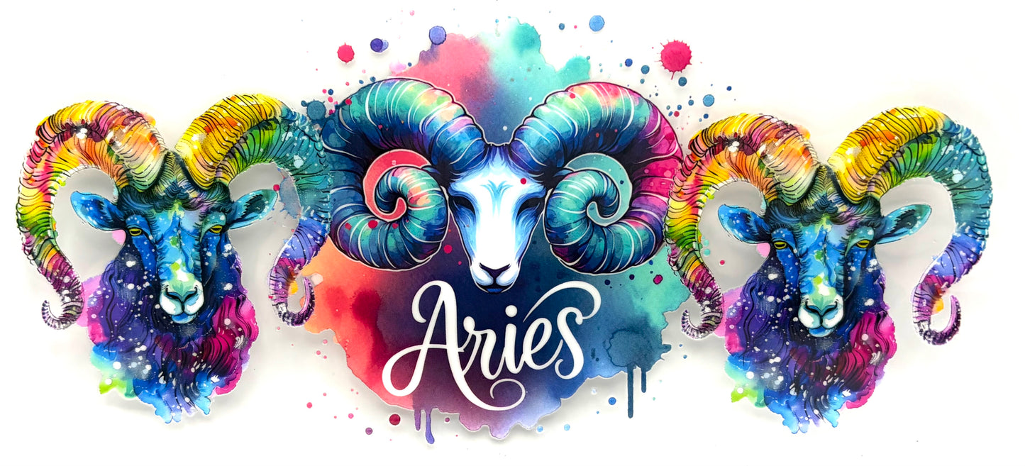 #0549 Aries- 2