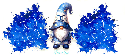 #0528 Gemini- Gnome