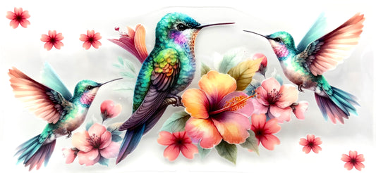 #0927 Hummingbird 3