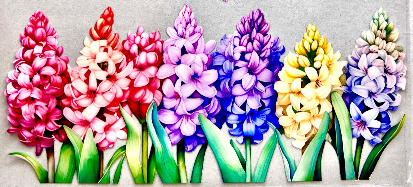 #0132 Hyacinth