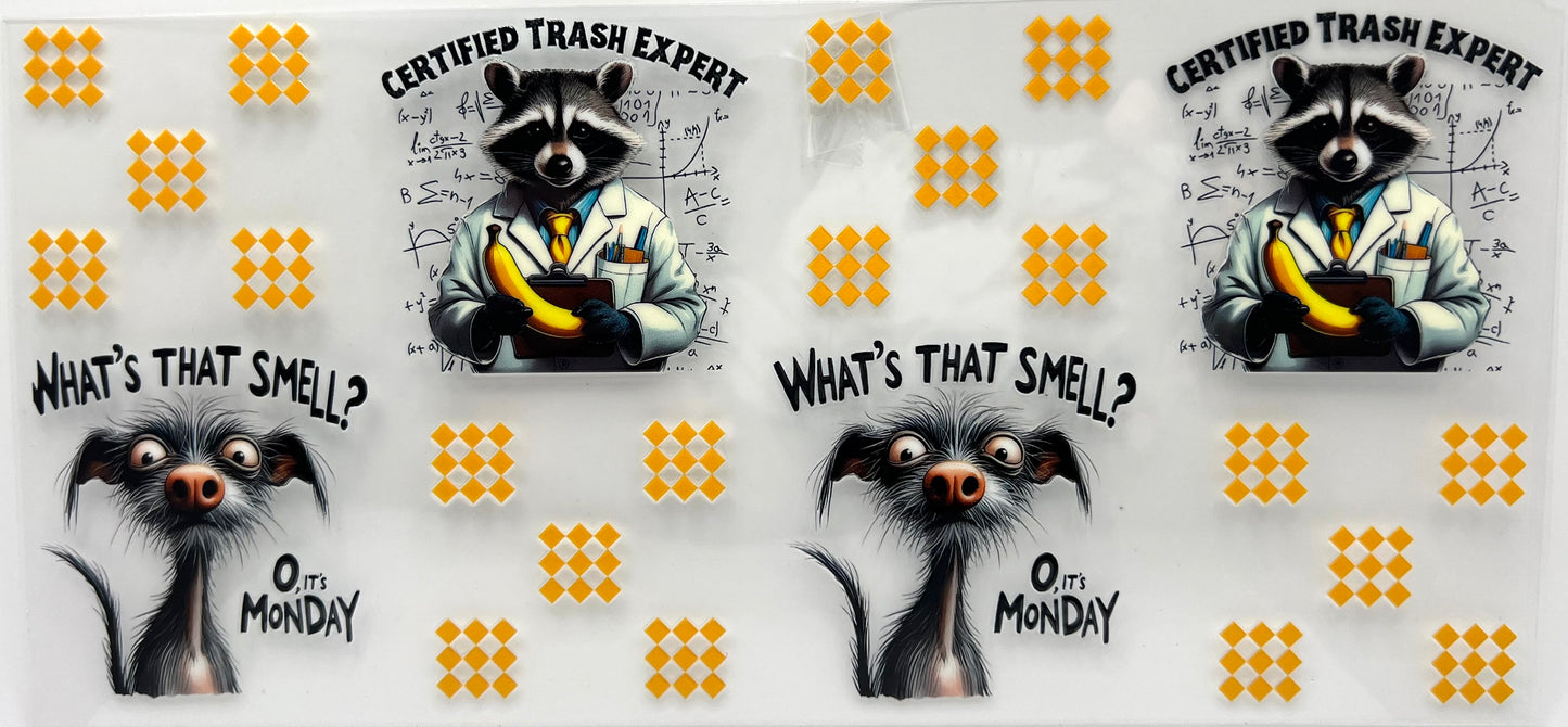 #0195 Trash Expert