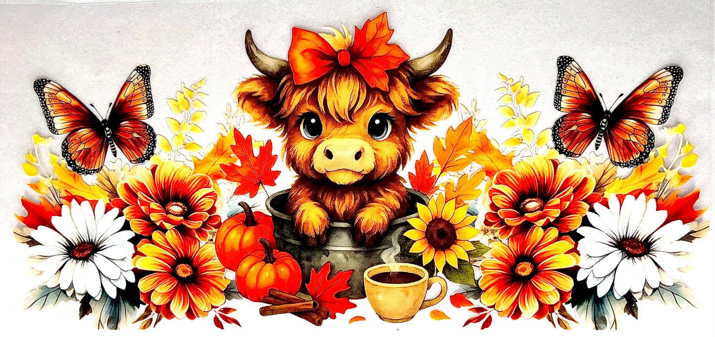 #0486 Fall cow- 2