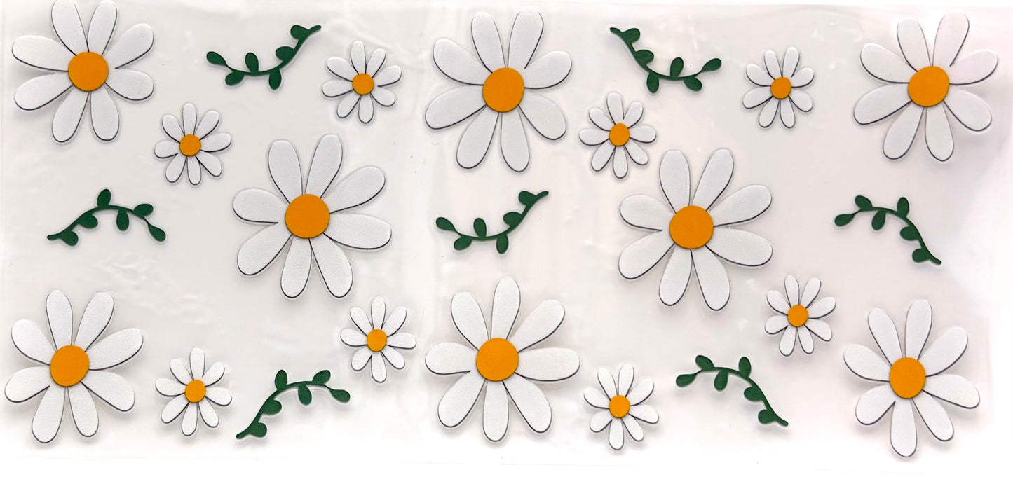 #1019 Daisys