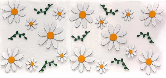 #1019 Daisys