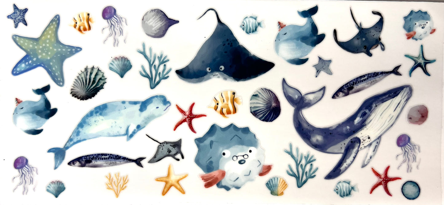 #0342 Sea life