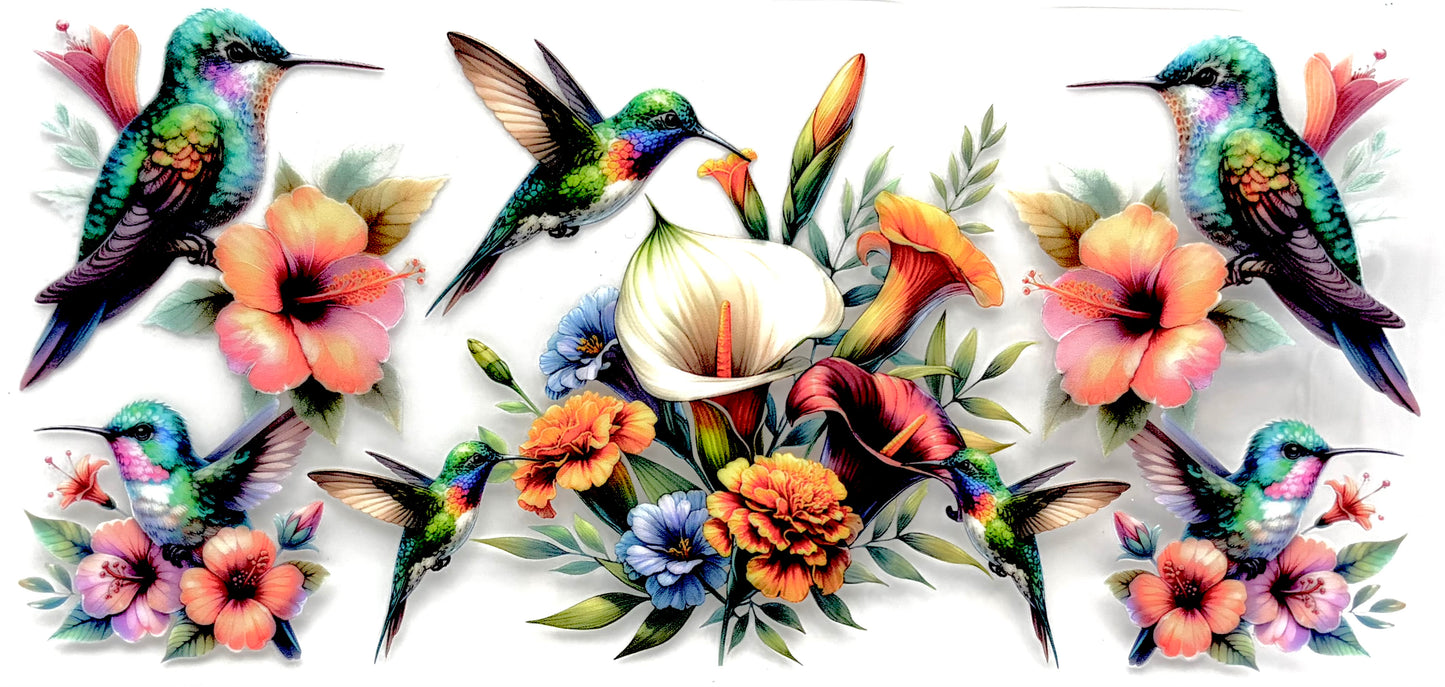 #0926 Hummingbird 2