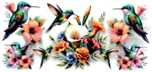 #0926 Hummingbird 2