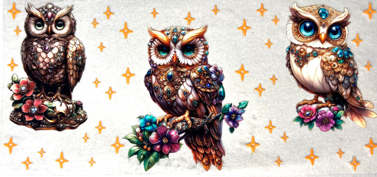 #0379 Owls