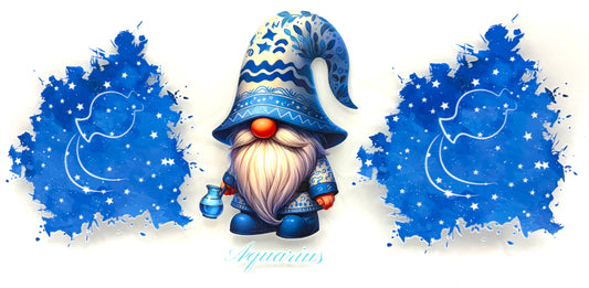 #0530 Aquarius- Gnome