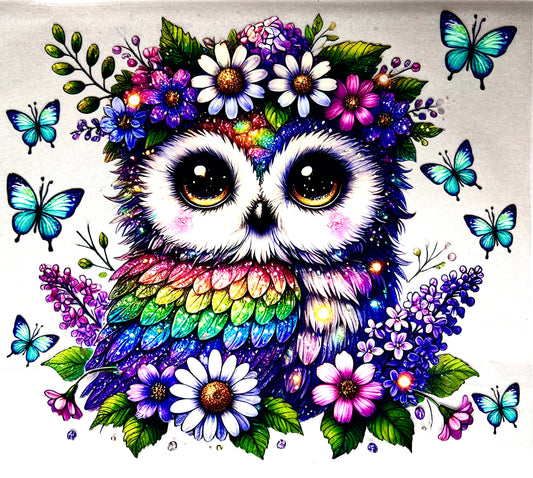 Rainbow Owl- 20oz