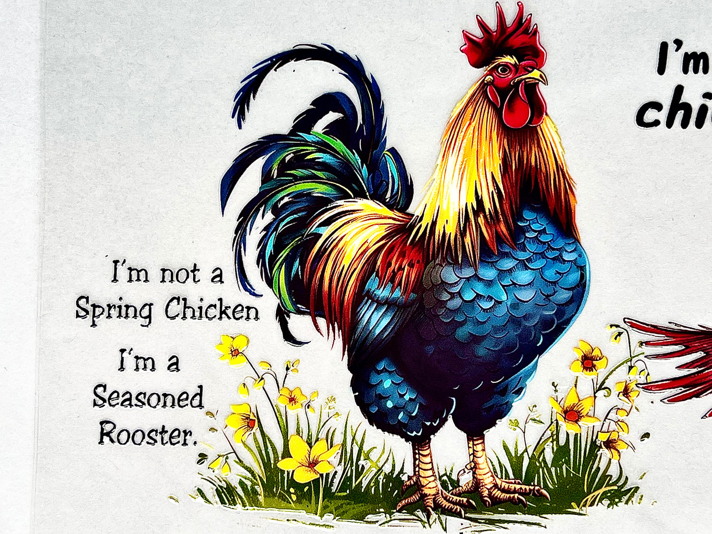 #0129 Chicken jokes